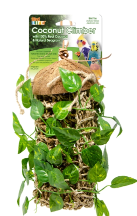 Coconut Climber with Vines